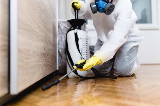 Best Pest Control Cost  in Rio, VA