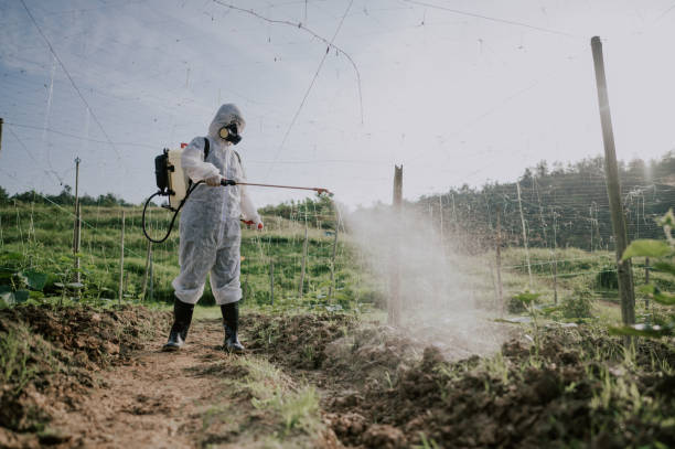 Best Commercial Pest Control Services  in Rio, VA