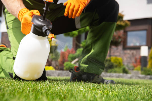 Best Affordable Pest Control Services  in Rio, VA
