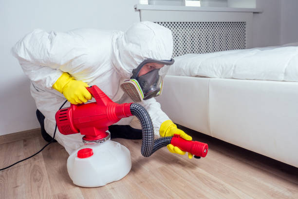 Best Rat Extermination Near Me  in Rio, VA