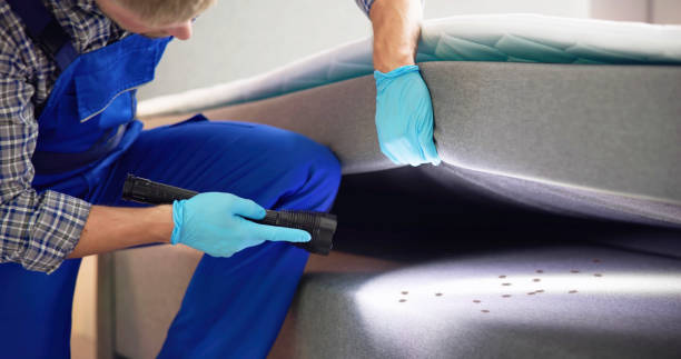 Best Commercial Pest Control Services  in Rio, VA