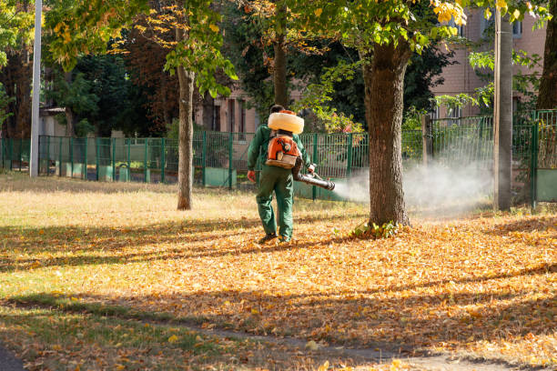 Flea Control Services in Rio, VA