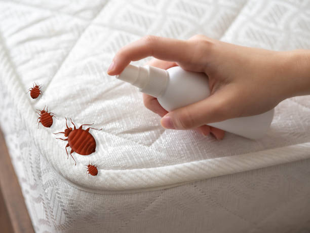 Best Pest Control Near Me  in Rio, VA