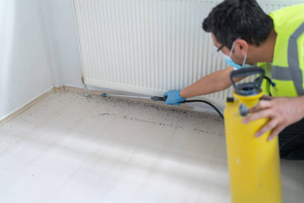 Best Best Pest Control Companies  in Rio, VA