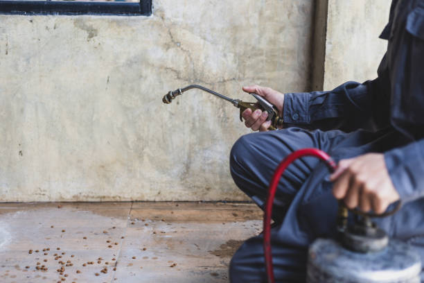 Best Best Pest Control Companies  in Rio, VA